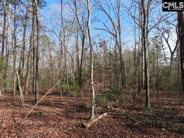 Photo of 0 Rhinehart Road