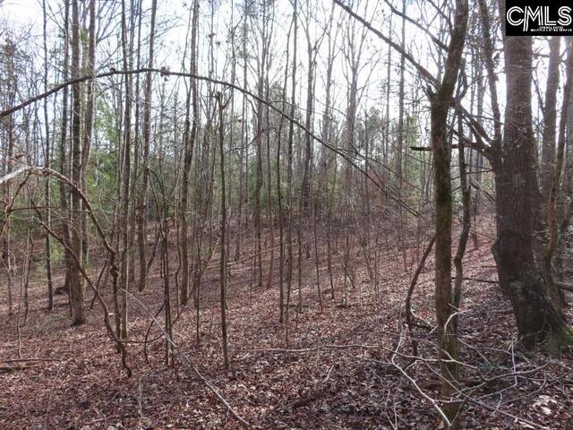 Photo of 0 Rhinehart Road