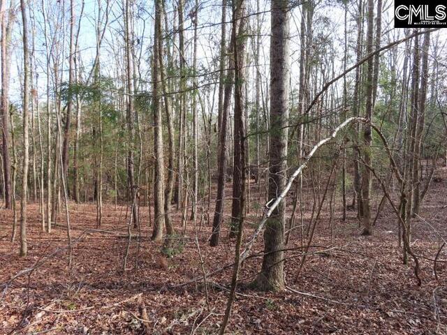 Photo of 0 Rhinehart Road