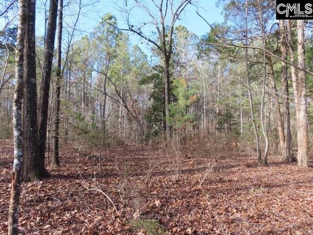 Photo of 0 Rhinehart Road