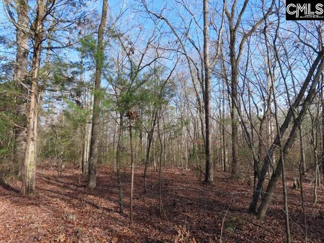 Photo of 0 Rhinehart Road