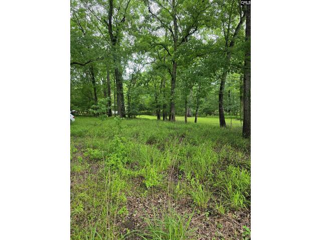 Photo of 1595 wateree estates Road