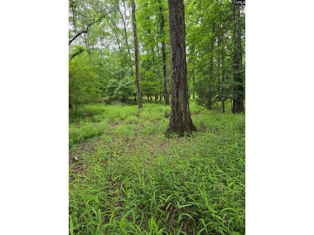 Photo of 1595 wateree estates Road