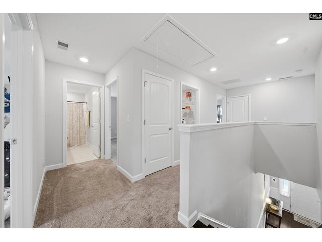 Photo of 189 wading bird loop