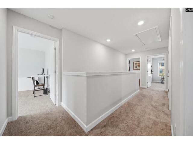 Photo of 189 wading bird loop