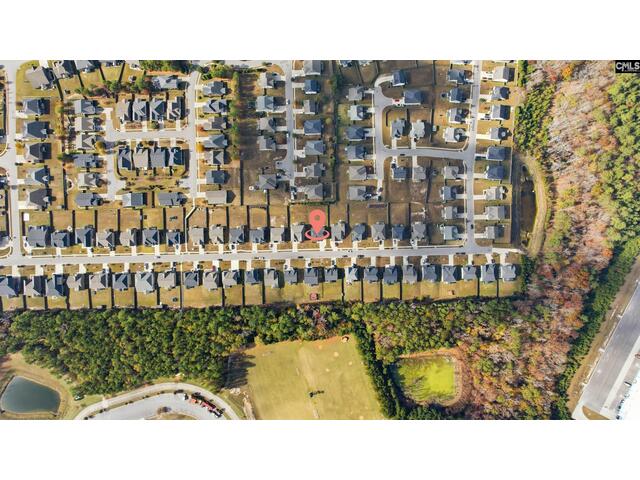 Photo of 189 wading bird loop