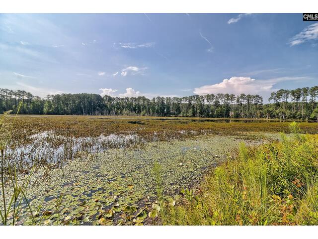 Photo of 1213 Parliament Lake Drive