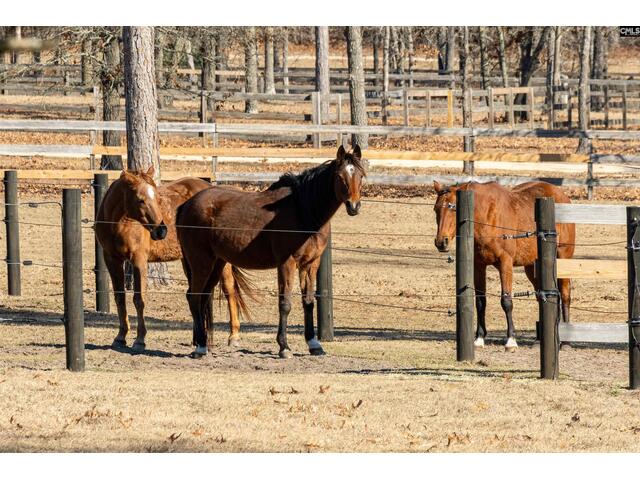 Photo of 81 Hound Hollow Road