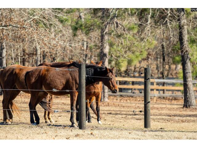 Photo of 81 Hound Hollow Road