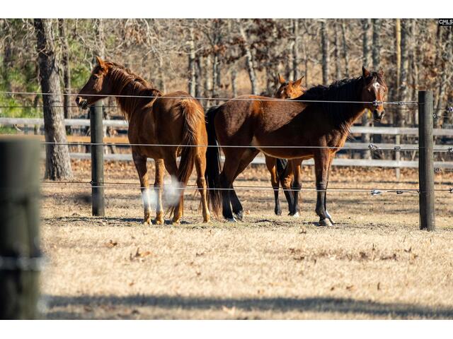 Photo of 81 Hound Hollow Road