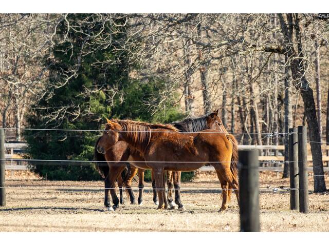 Photo of 81 Hound Hollow Road