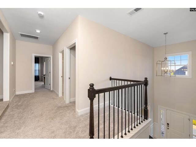 Photo of 29 Coltswood Ln