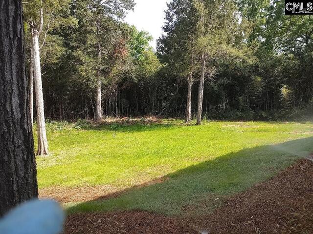 Photo of 10 Saints Creek Place