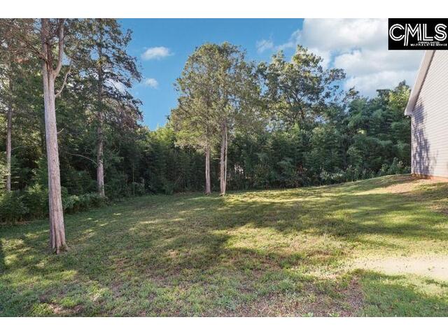 Photo of 10 Saints Creek Place