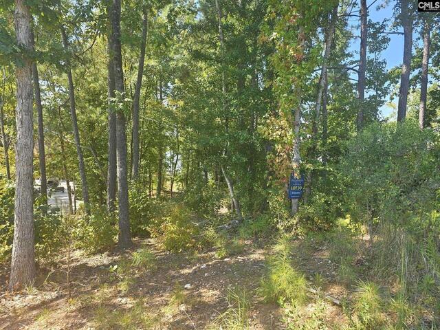 Photo of Lot # 30 Longview Drive