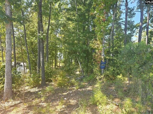 Photo of Lot # 30 Longview Drive