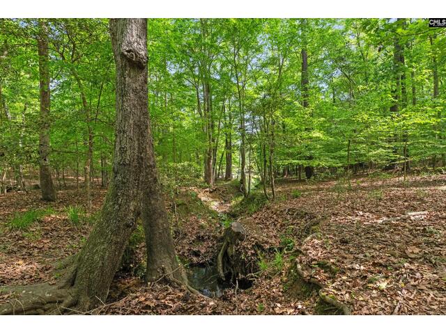 Photo of 1427 Buck Hill Landing Road