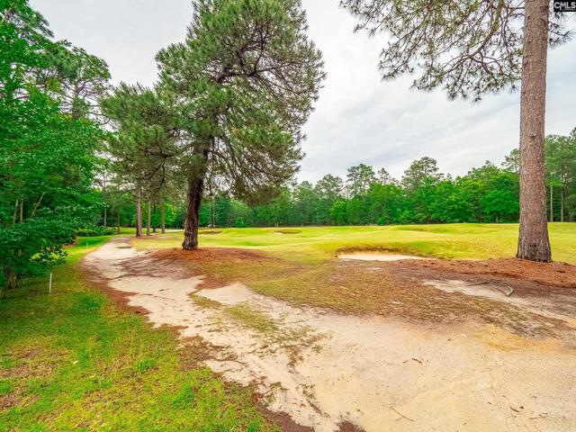 Photo of 318 Old Course Loop