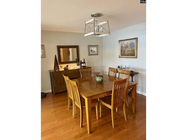 Photo of 387 Dutchman Lane