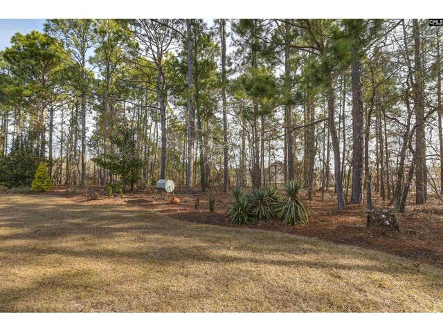 Photo of 121 Lame Horse Road