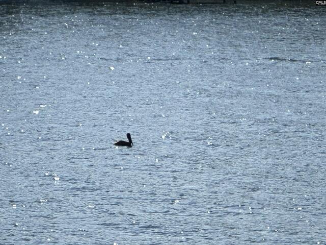 Photo of 165 Lake Murray Terrace