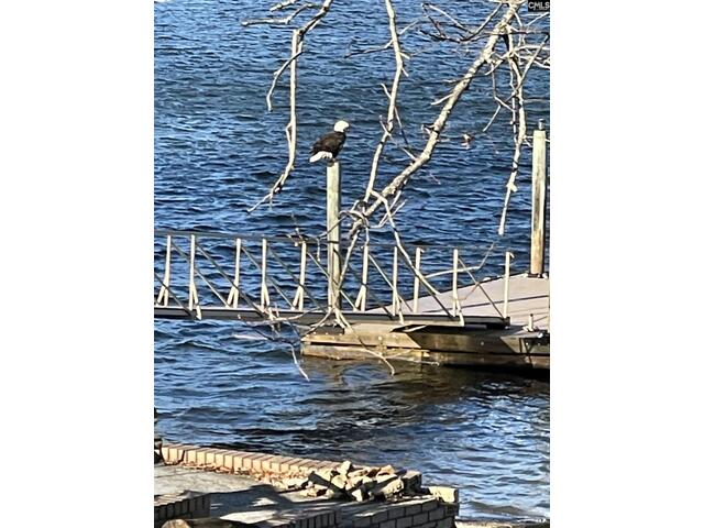 Photo of 165 Lake Murray Terrace