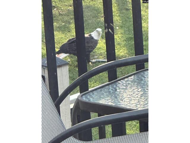 Photo of 165 Lake Murray Terrace