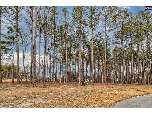 Photo of 349 Stewart Landing