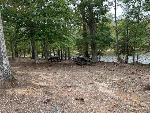 Photo of 0 Little Saluda Lane