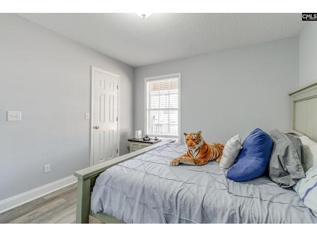 Photo of 15 Freedom Lane