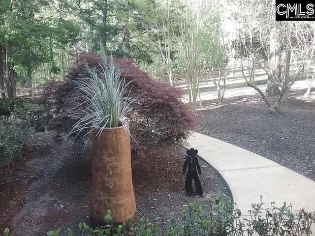 Photo of 129 Tiger Paw Lane