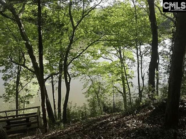 Photo of 129 Tiger Paw Lane