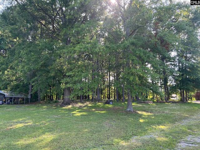 Photo of Lot A Lazy Lane