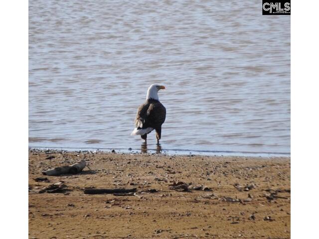 Photo of 1792 Sailing Club Road