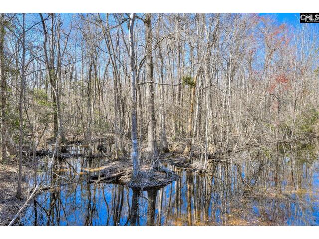 Photo of 1114 Lott Bluff Road Photo of 1114 Lott Bluff Road