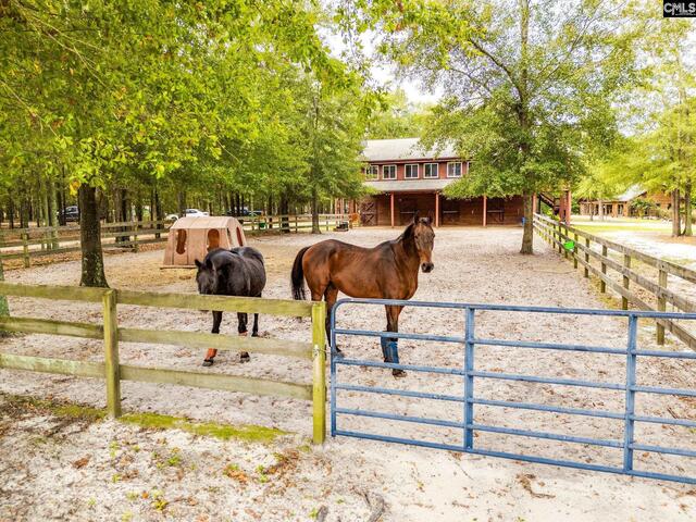 Photo of 1258 pine road