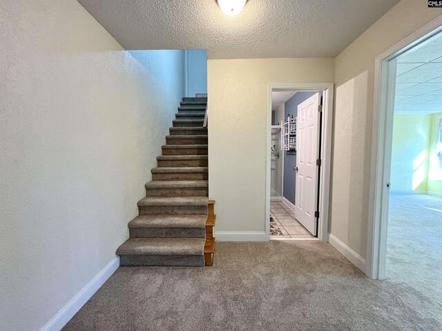 Photo of 105 Rolling Creek Circle