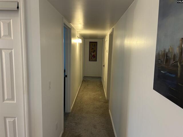 Photo of 2533 B Watson Street