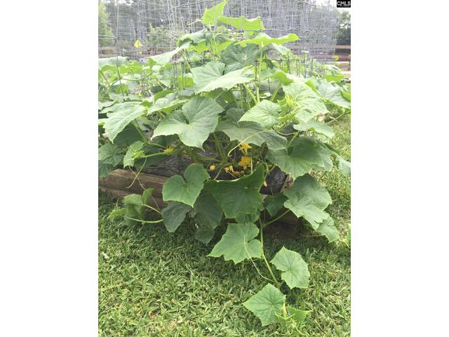 Photo of 6009 Wescott Road