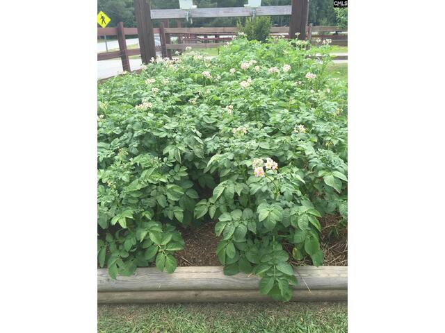 Photo of 6009 Wescott Road