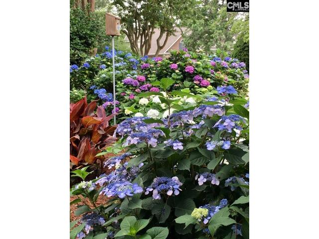 Photo of 449 Lake Estate Drive