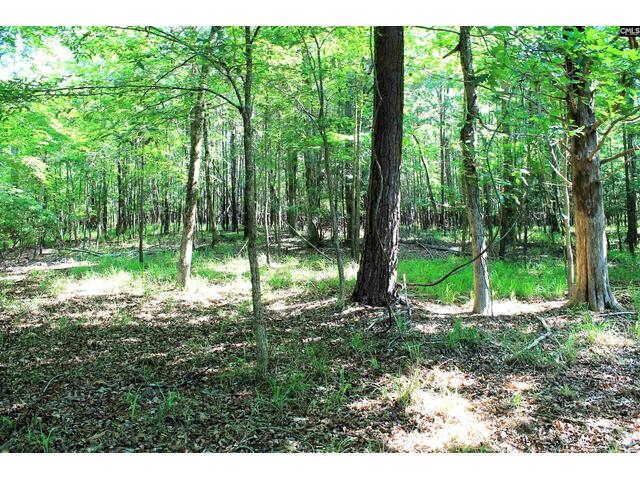 Photo of 205 Plantation Road