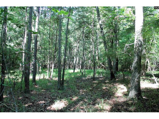 Photo of 205 Plantation Road