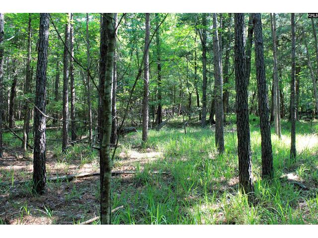 Photo of 205 Plantation Road