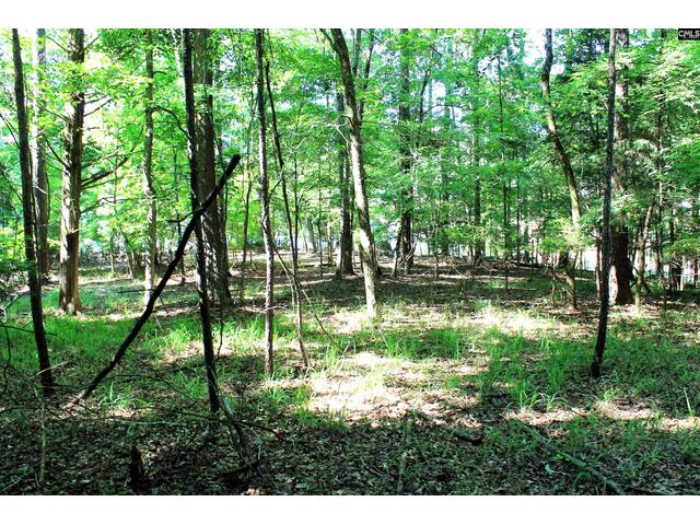 Photo of 205 Plantation Road