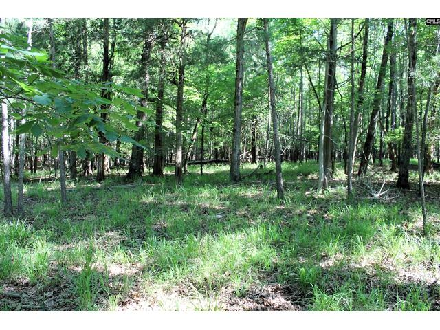 Photo of 205 Plantation Road