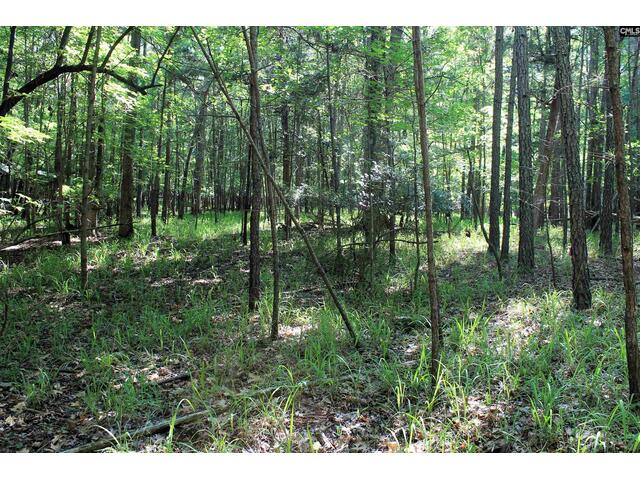 Photo of 205 Plantation Road