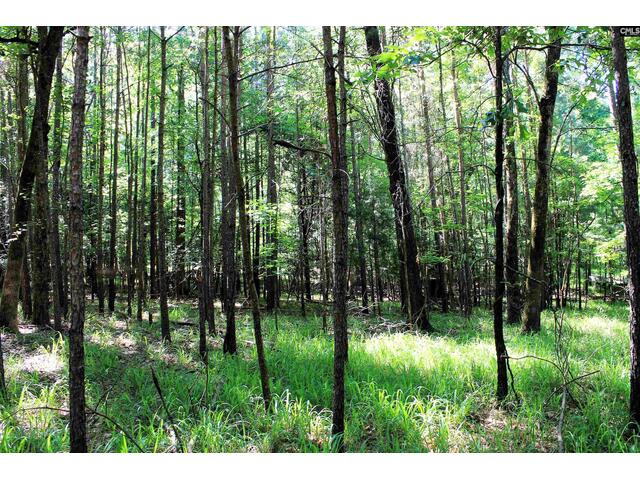 Photo of 205 Plantation Road