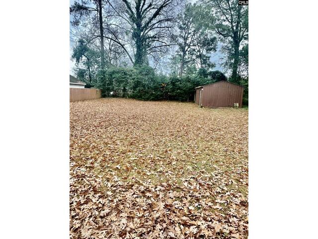 Photo of 1915 Hallman Street