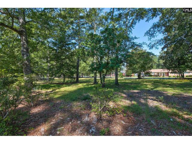 Photo of 314 kirkwood lane